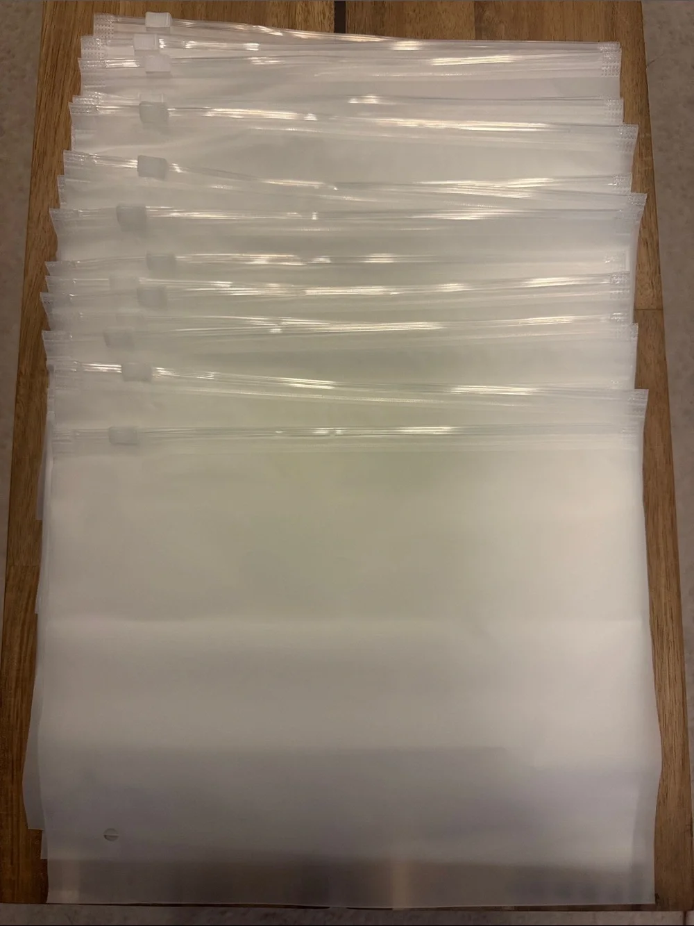 (30) Frosted Reusable Zip Seal swimsuit Storage Bags